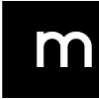 Mobilus Labs