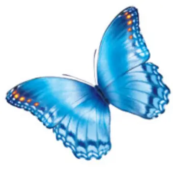 Nationwide Children's Hospital