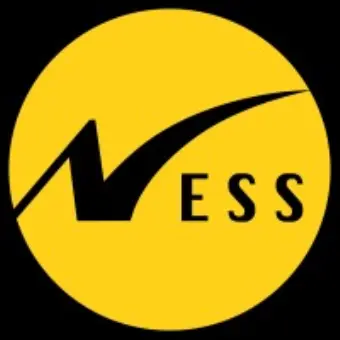 Ness Technologies Israel