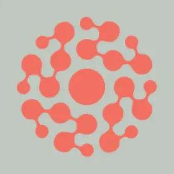 Symplast