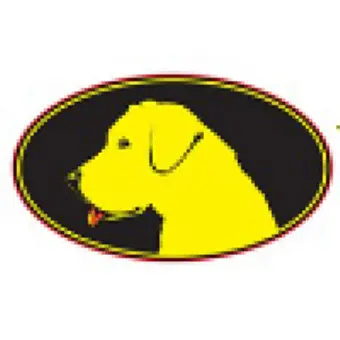 Yellow Dawg Striping