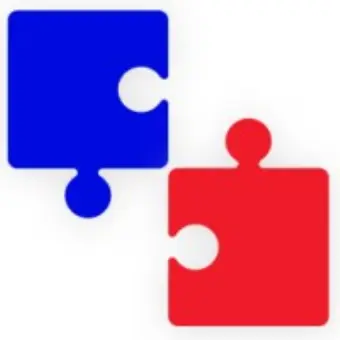 Puzzle Medical Devices