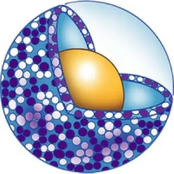 Bluewillow Biologics, Inc.