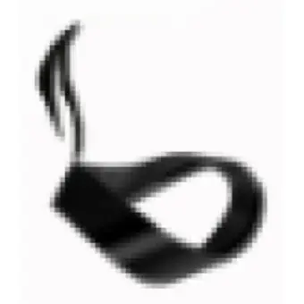 Vita Beans Neural Solutions