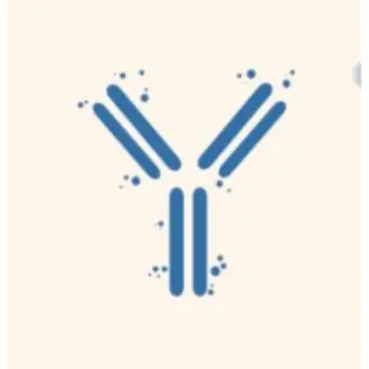 immunitoAI