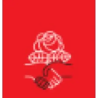 Democratic Socialists of America
