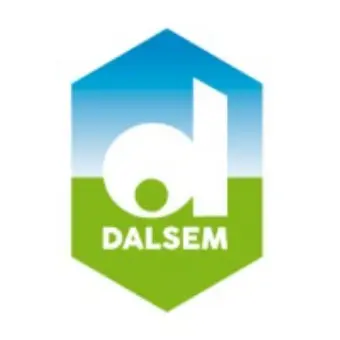 Dalsem