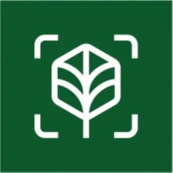 Working Trees
