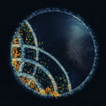 Concerto Biosciences