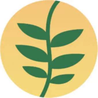 Suryanesia