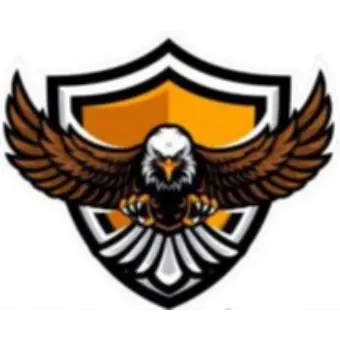 Robinson Protective Services