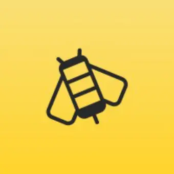 Streetbees