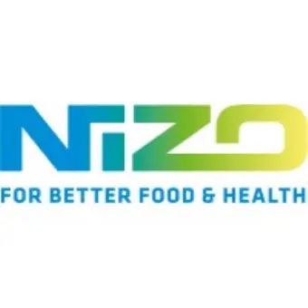 Nizo