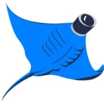 VideoRay