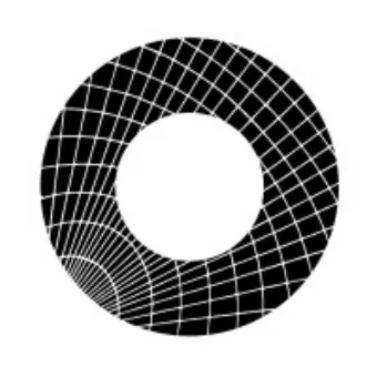 Shield Capital
