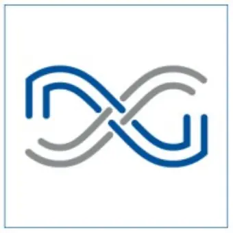 The Dixie Group