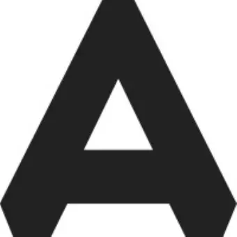 Ambush Capital