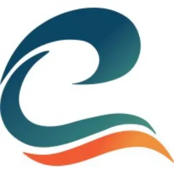 CFLW Cyber Strategies