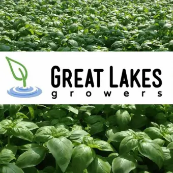 Great Lakes Growers