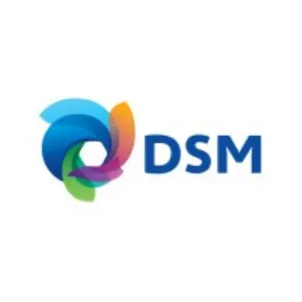 DSM