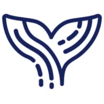 Orca AI