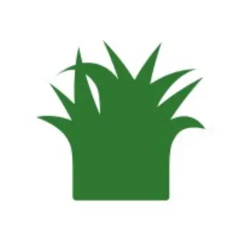 ruumi