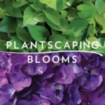 Plantscaping & Blooms