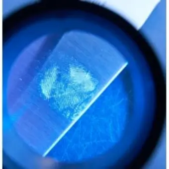 Netherlands Forensic Institute