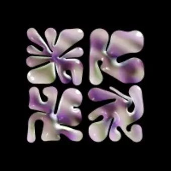 Palm NFT Studio