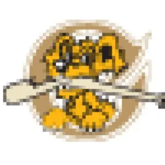 Minor League Baseball