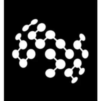 MBZUAI (Mohamed bin Zayed University of Artificial Intelligence)
