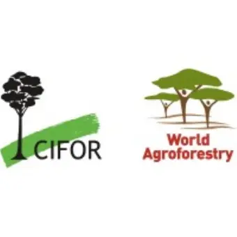 Center for International Forestry Research