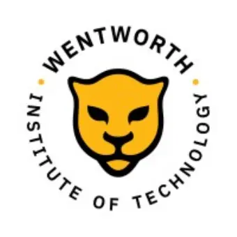 WIT Accelerate Program