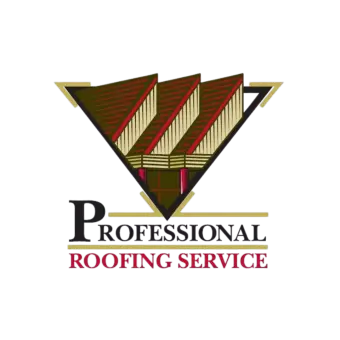 Professional Roofing Services