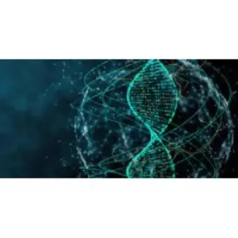 Duration Labs