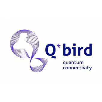 Q*Bird