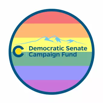 Democratic Senate Campaign Fund (DSCF)