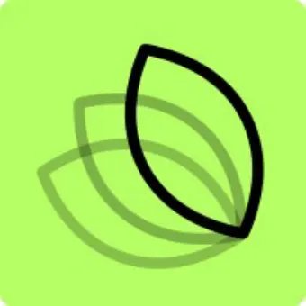 MintMCP