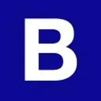 The Brechin Group Inc.