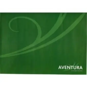 Aventura Investment Partners