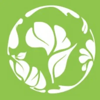 Releaf (Yc W19)