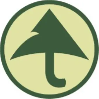Green Umbrella