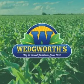 Wedgworth's Inc