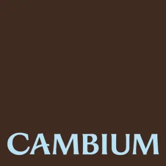Cambium