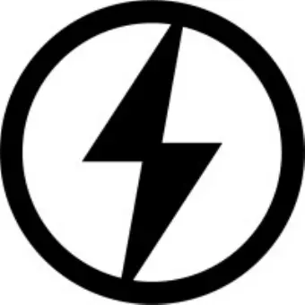 The Lion Electric