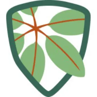 Madronus Wildfire Defense