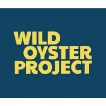 Wild Oyster Project