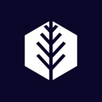 Paradigm Evergreen