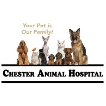 Chester Animal Hospital