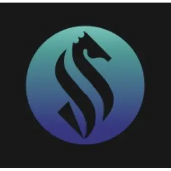 Saddle Finance